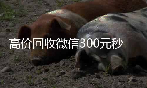 高价回收微信30024小时vx回收平台元秒结（高价回收vx300元秒结）